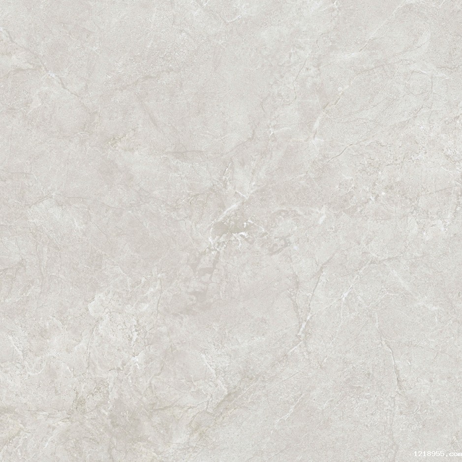 DT81009A 伯尼斯灰